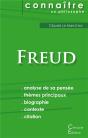 Comprendre Freud - Preview