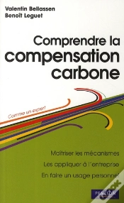 Capa do artigo Comprendre La Compensation Carbone