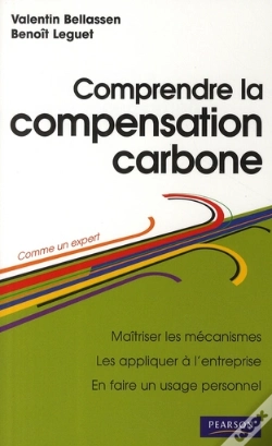 Capa do artigo Comprendre La Compensation Carbone