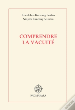 Capa do artigo Comprendre La Vacuite