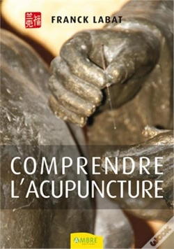 Capa do artigo Comprendre L'Acupuncture