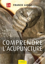 Capa do artigo Comprendre L