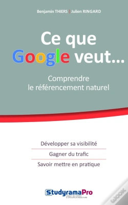 Capa do artigo Comprendre Le Referencement Naturel