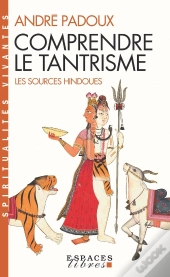 Comprendre Le Tantrisme : Les Sources Hindoues