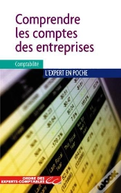 Capa do artigo Comprendre Les Comptes Des Entreprises (2e Édition)