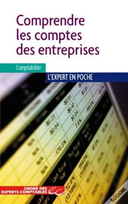 Capa do artigo Comprendre Les Comptes Des Entreprises (2e Édition)