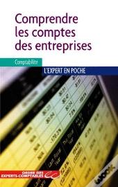 Comprendre Les Comptes Des Entreprises (2e Édition)