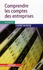 Capa do artigo Comprendre les Comptes des Entreprises