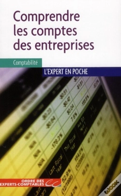 Capa do artigo Comprendre les Comptes des Entreprises