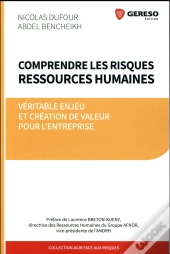 Comprendre Les Risques Ressources Humaines
