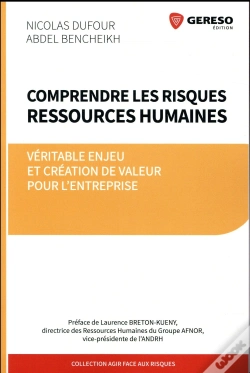 Capa do artigo Comprendre Les Risques Ressources Humaines