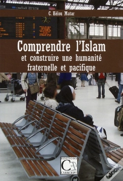 Capa do artigo Comprendre L'Islam Et Construire Une Humanite Fraternelle Et Pacifique