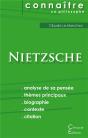 Comprendre Nietzsche Analyse Complete De Sa Pensee - Preview