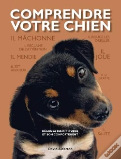 Capa do artigo Comprendre Votre Chien