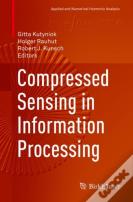 Compressed Sensing In Information Processing