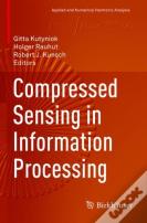 Compressed Sensing In Information Processing