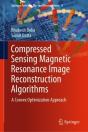 Compressed Sensing Magnetic Resonance Image Reconstruction Algorithms - Preview