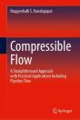 Compressible Flow - Preview