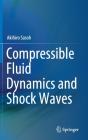 Compressible Fluid Dynamics And Shock Waves - Preview