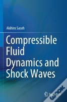 Compressible Fluid Dynamics And Shock Waves