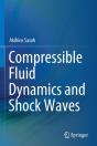 Compressible Fluid Dynamics And Shock Waves - Preview
