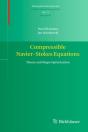 Compressible Navier-Stokes Equations - Preview