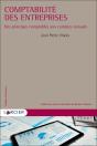Comptabilite Des Entreprises - Des Principes Comptables Aux Comptes Annuels - Preview