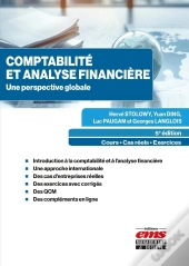 Comptabilite Et Analyse Financiere - Une Perspective Globale