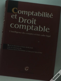 Capa do artigo Comptabilite Et Droit Comptable
