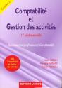 Comptabilite Et Gestion Des Activites 1e Professionnelle - Preview