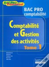 Comptabilite Gestion T.1 Bac Pro Comptabilite ; Livre Eleve ; Edition 2001