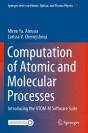 Computation Of Atomic And Molecular Processes - Preview