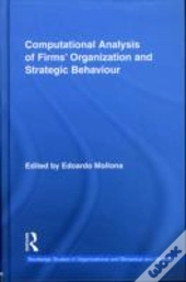 Computational Analysis Of Firmsâ€™ Organization And Strategic Behaviour