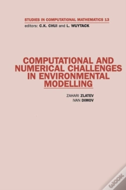 Capa do artigo Computational And Numerical Challenges In Environmental Modelling