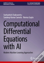 Computational Differential Equations With Ai