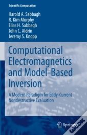 Computational Electromagnetics And Model-Based Inversion