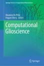 Computational Glioscience - Preview