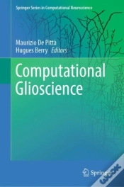 Capa do artigo Computational Glioscience