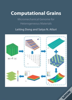 Capa do artigo Computational Grains