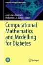 Computational Mathematics And Modelling For Diabetes - Preview