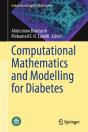 Computational Mathematics And Modelling For Diabetes - Preview