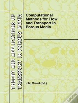 Capa do artigo Computational Methods For Flow And Transport In Porous Media