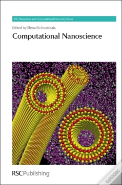 Capa do artigo Computational Nanoscience