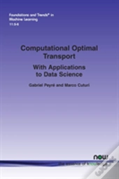 Computational Optimal Transport