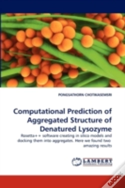 Capa do artigo Computational Prediction Of Aggregated Structure Of Denatured Lysozyme