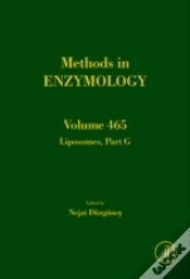 Capa do artigo Computer Methods Part B