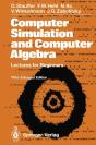 Computer Simulation And Computer Algebra - Preview