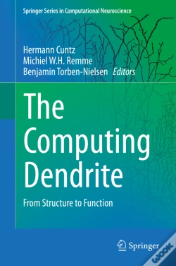 Capa do artigo Computing Dendrite