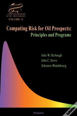 Capa do artigo Computing Risk For Oil Prospects: Principles And Programs