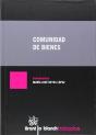 Comunidad De Bienes - Preview